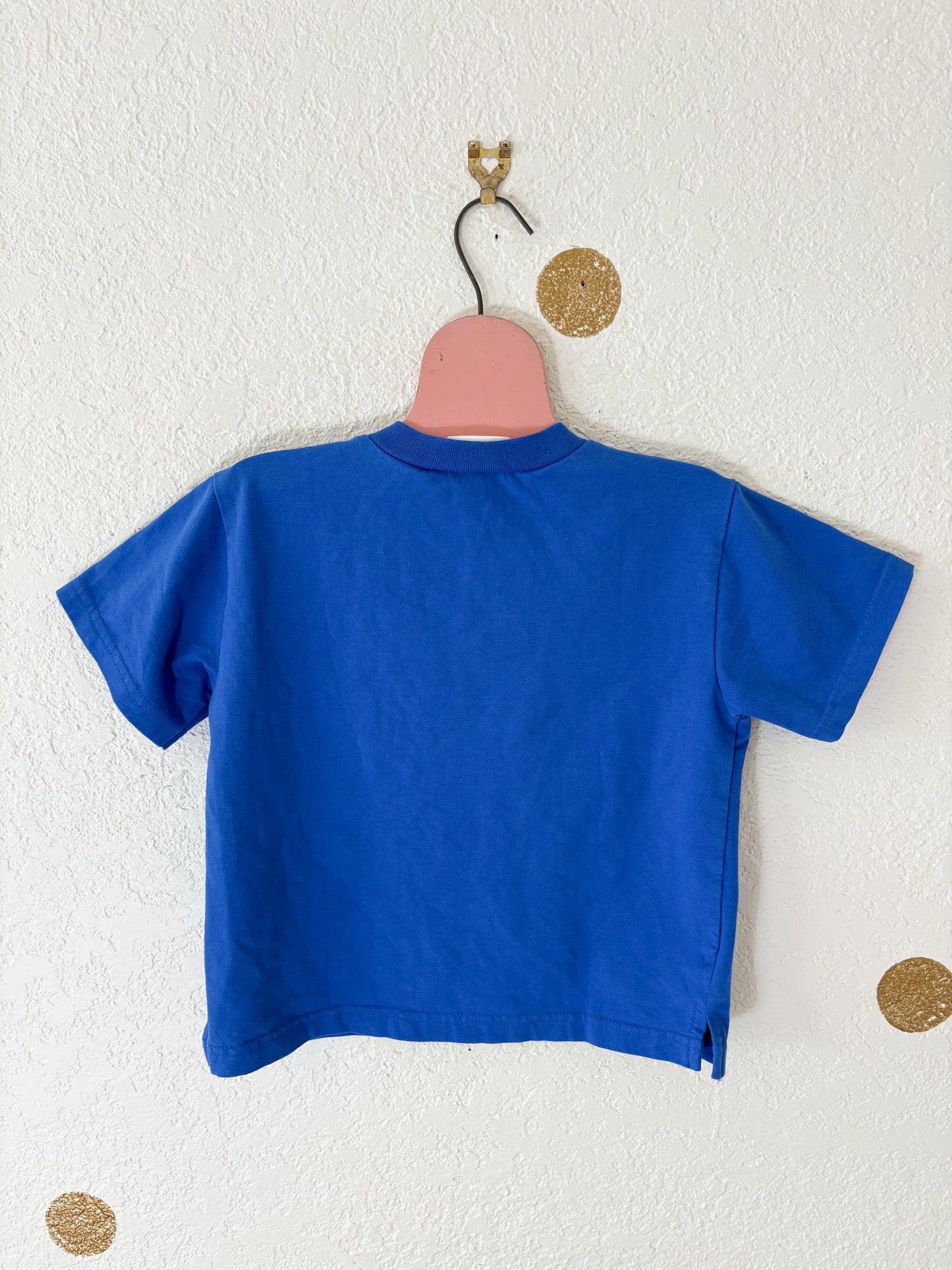 Vintage/y2k Le Top farm toddler top.